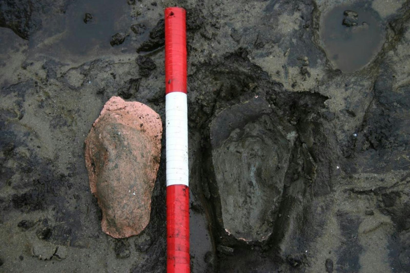 A child's footprint preserved in Bronze Age peat