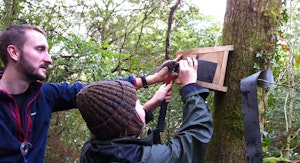 attaching a bird box