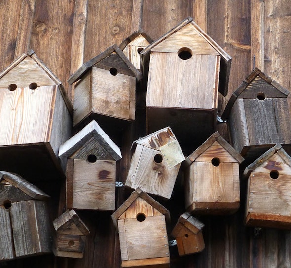 Bird boxes