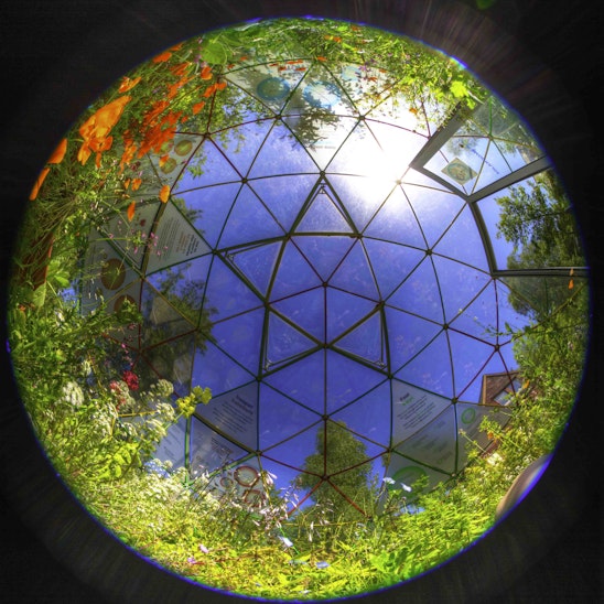 glass dome greenhouse
