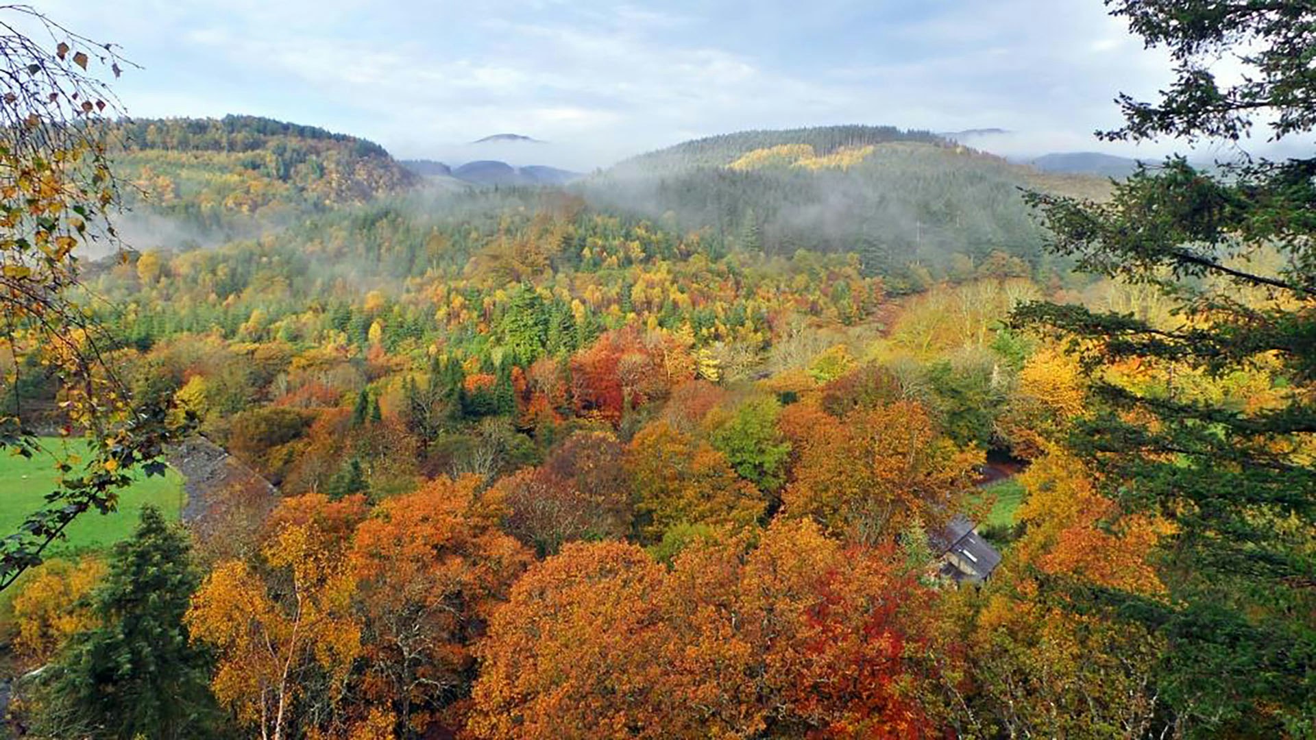 Woodlands of CAT in autumn