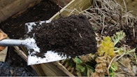 Picture of Home Composting