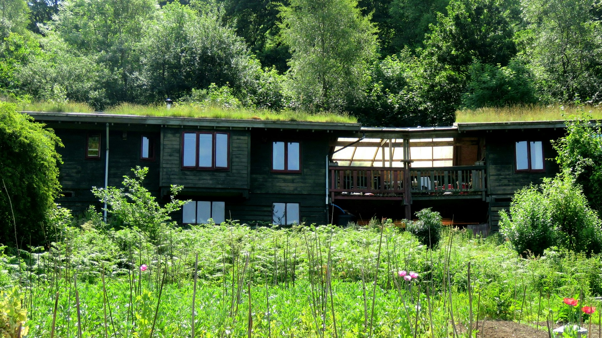 Looking across an organic garden at the Eco Cabins