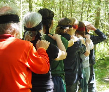 Group activity in the CAT woodland