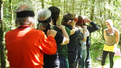 Group activity in the CAT woodland