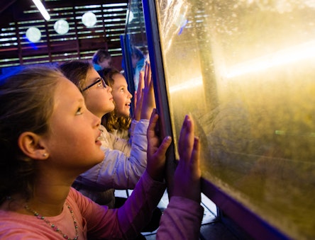 Children look at an interactive tidal energy display