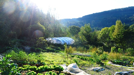 Organic gardens at CAT