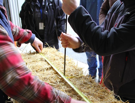 Dividing a straw bale