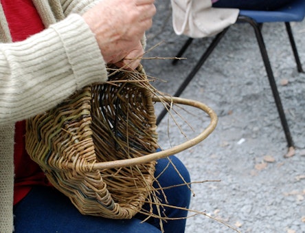 Making a willow basket