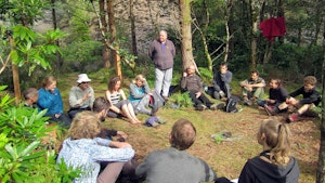 Nature connection workshop in the woodland exploring sustainability and behaviour change