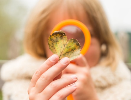 CAT kid looking at an autumnal leaf through a magnifying glass
