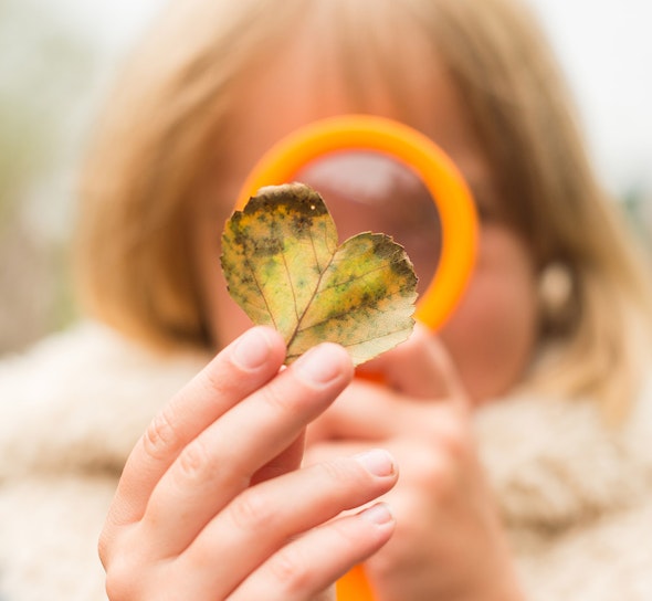 CAT kid looking at an autumnal leaf through a magnifying glass