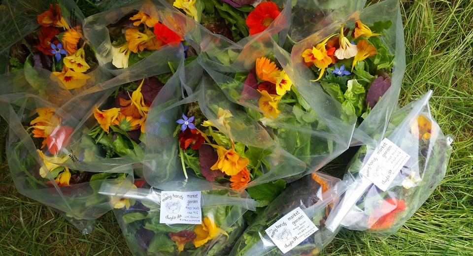 Many Hands Market Garden