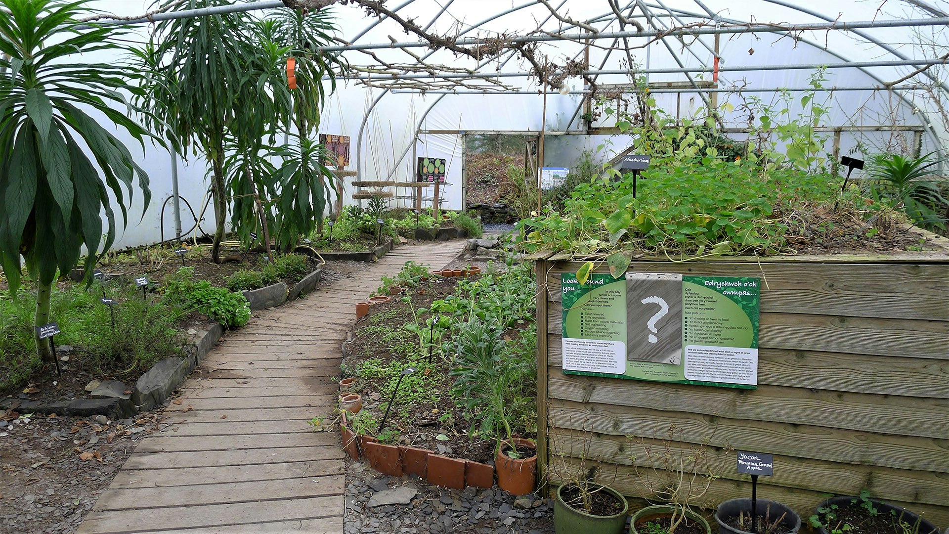 Polytunnel at CAT in winter
