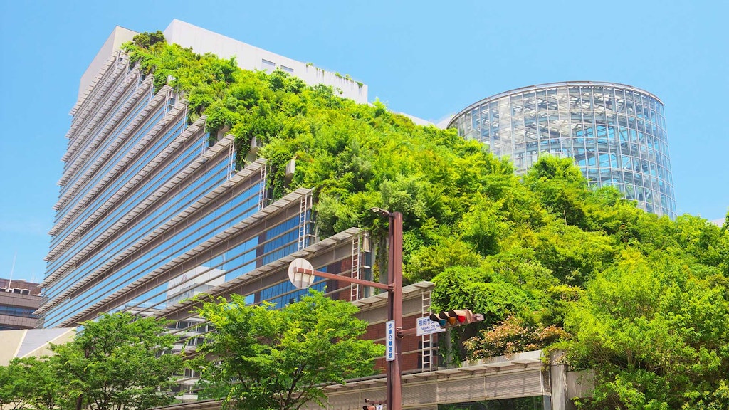 Green roofs, such as this example in Fukuoka in Japan, can help reduce flooding, enhance biodiversity and connect people to their environment. Credit: yyama / Shutterstock.com