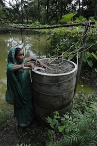 In Bangladesh, mother-of-four Nila Boti grows vegetables in a ring-garden to protect her produce from floodwater. Photo credit: Department for International Development / Rafiqur Rahman Raqu 