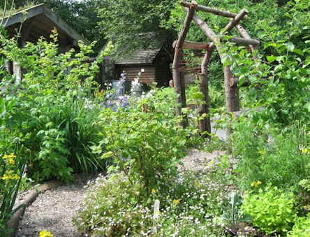 Forest garden display area at CAT