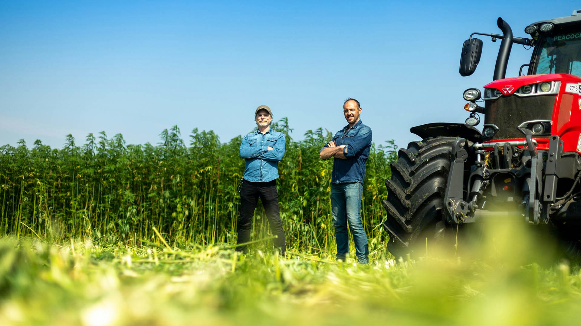 Scott Simpson and Sam Baumber stand next to a tractor in a partially harvested hemp field.