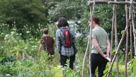 Students walking through one of the CAT gardens