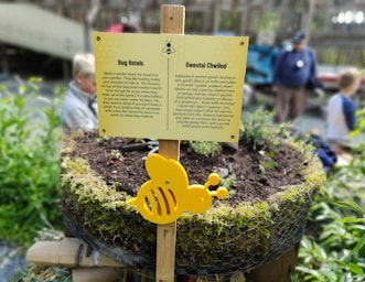bug hotel at CAT
