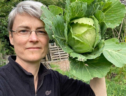 Ruth holding up a freshly harvested cabbage