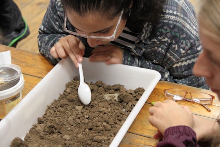MSc Student examines some soil